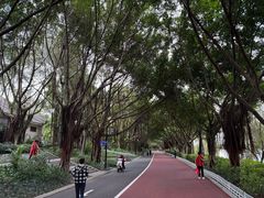 -南宁南湖公园