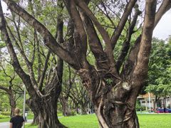 -人民公园(罗湖区)