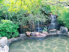 -昆明柏联SPA温泉