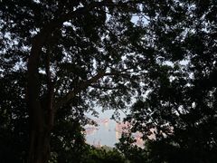 -小南山公园