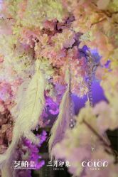 -保定金沙芝柏婚礼策划