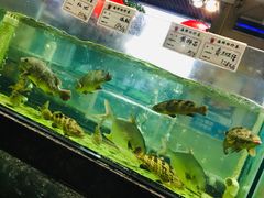 水产区-东江港海鲜城(广雅花园别墅区店)