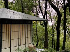 -中国茶叶博物馆(双峰馆区)