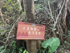 -七仙岭温泉国家森林公园