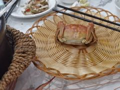 -蟹天蟹地农家菜·阳澄湖大闸蟹(浅水湾店)