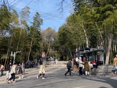 -紫金山索道-售票处