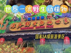 -广州长隆野生动物世界