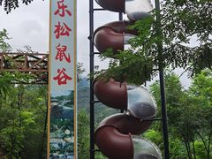-欢乐松鼠谷