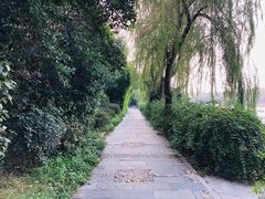 -雨湖公园