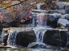 -中国茶叶博物馆(双峰馆区)