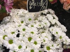 -豆豆花艺(新光天地店)