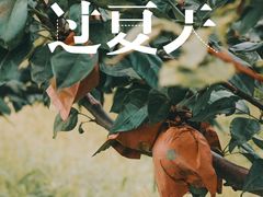 -宏泰园蔬果专业合作社