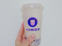 -一只酸奶牛(八一路店)