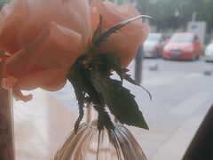 -FreshCo鲜途·西厨(大良店)