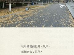-原麦山丘(凯德MALL·大峡谷店)