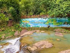 -广州白江湖森林公园