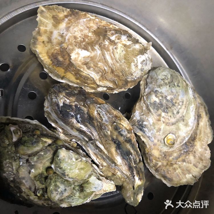 最近生蚝🦪便宜了耶，就喜欢吃这个海鲜