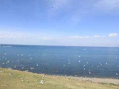 -青海湖国家重点风景名胜区