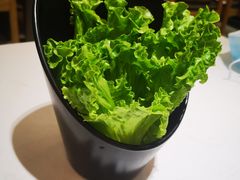 -八乔煎肉馆·丹东特色煎锅(梅林店)