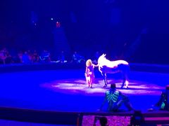 -珠海横琴长隆《卡卡虎奇遇记》