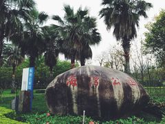-厦门海湾公园游乐场