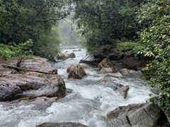 -广州白江湖森林公园