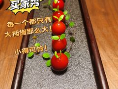 樱桃山药-觅唐MITONG(鸟巢店)