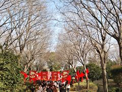 -朴园