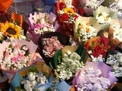 -循礼门鲜花花市(武汉循礼门店)