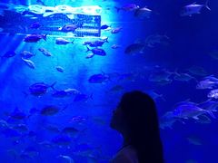 -波塞冬旅游度假区