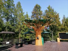 -黄海国家森林公园