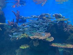 -华夏文旅海洋公园