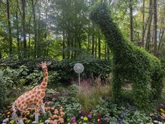 -上海共青森林公园