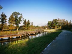 -梁鸿国家湿地公园