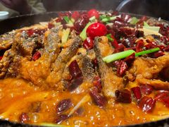 -老板恋上鱼(高新万达店)