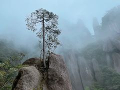 -三清山风景名胜区