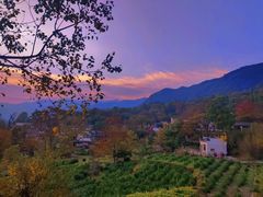 -塔川景区