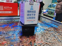 -盒马鲜生(大成店)