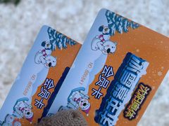 -沈阳奥体冰雪嘉年华