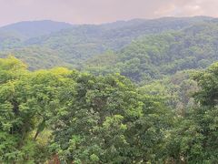 -广州市帽峰山景区