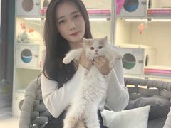 -lincat·猫舍(广州店)