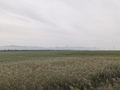 -野鸭湖国家湿地公园