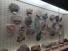-浙江自然博物院(杭州馆)