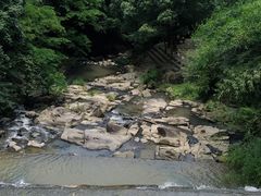 -洪崖丹井