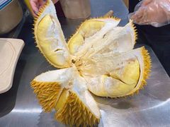 -101 Fresh Fruits Trading