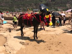 -陕西黄河壶口瀑布旅游区