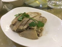 白斩鸡-北门饭店(三香路店)