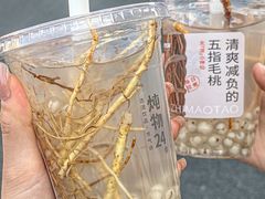 -炖物24章·顺时轻养茶(黄龙店)