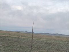 -黄河九曲第一湾