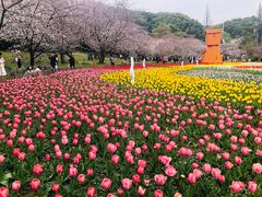 -苏州上方山国家森林公园